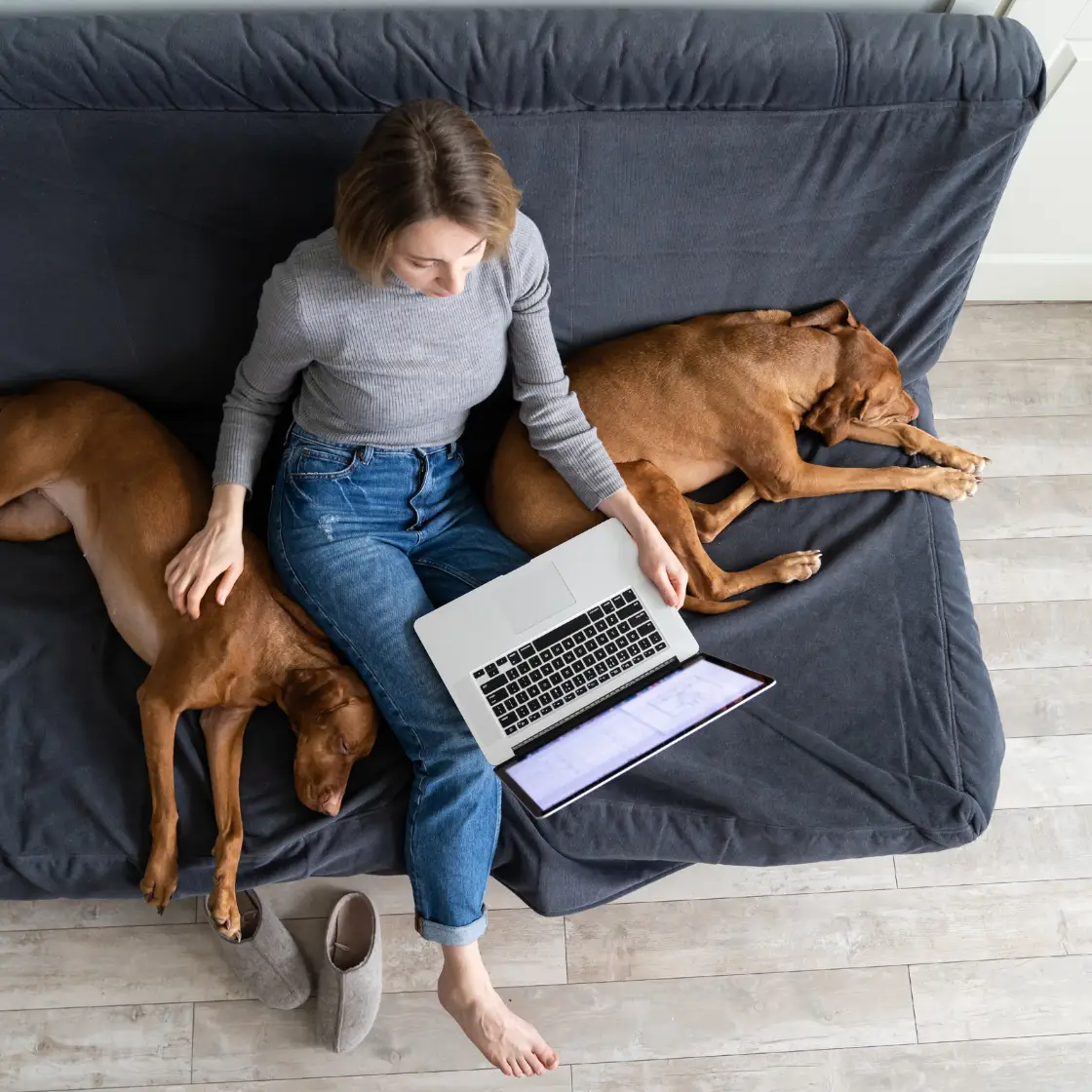 Frau sitzt mit Laptop auf dem Schoß auf der Couch und hat rechts und links einen Hund neben sich liegen